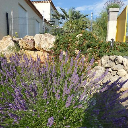 La Villa Du Saule Salles-dʼAude Exterior foto